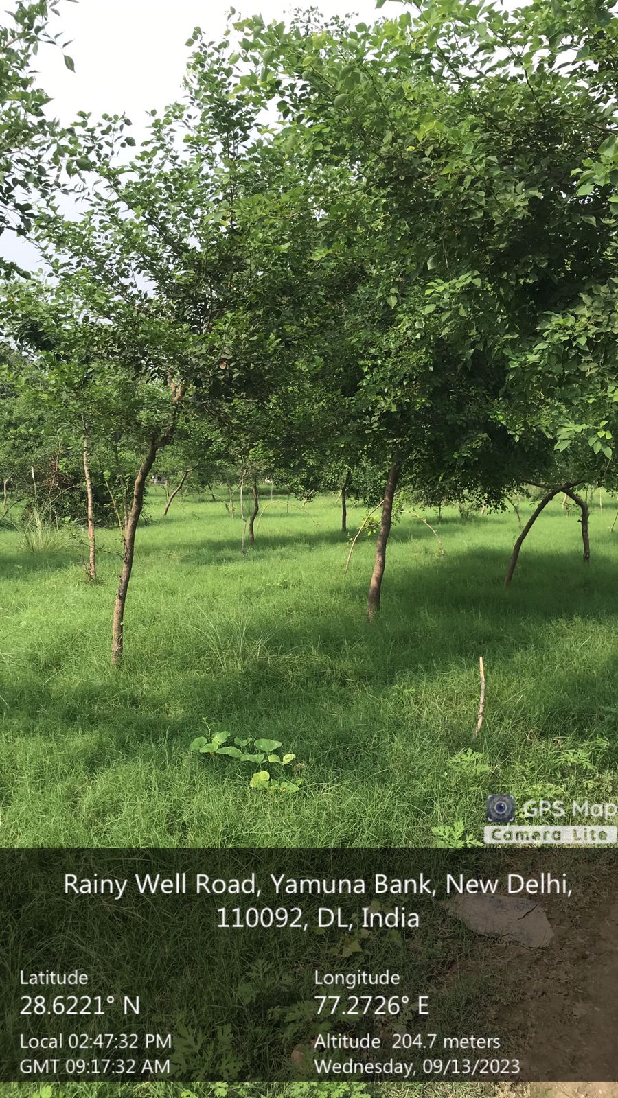 Compensatory Afforestation